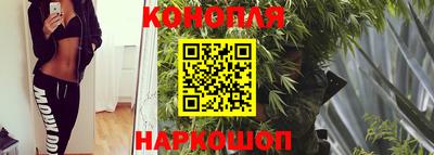каннабис Новодвинск